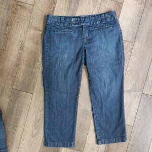 Ann Taylor Loft Jeans